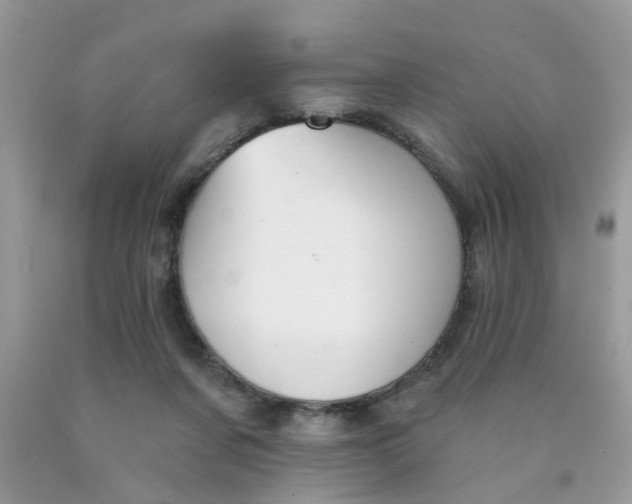 X0000090420311200707272116