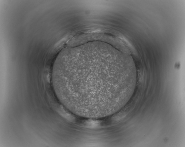 X0000090420313200707272116