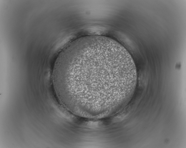 X0000090420314200707272116