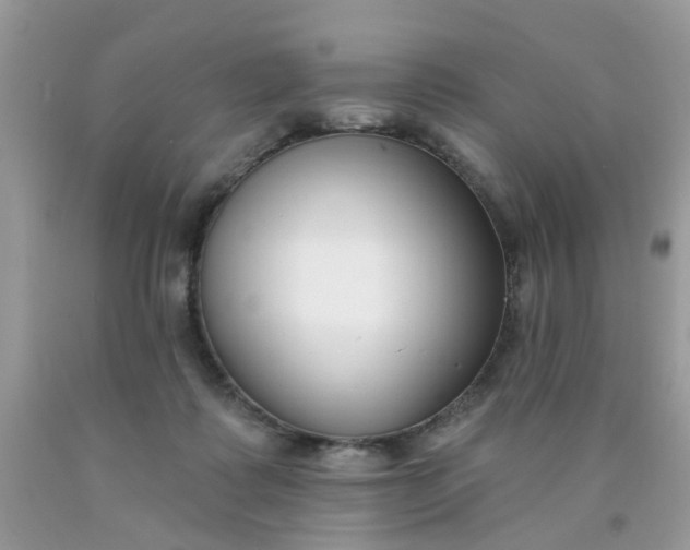 X0000090420315200707272116