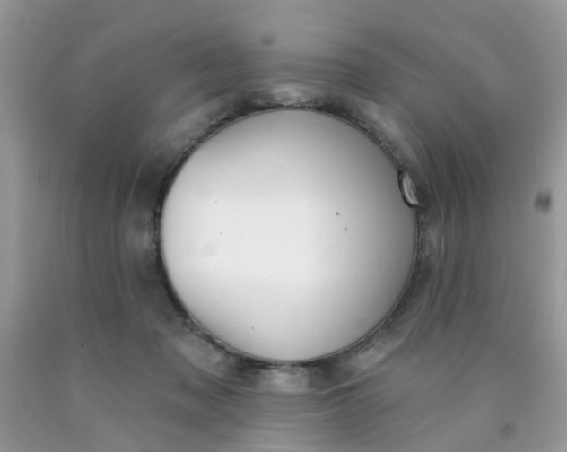 X0000090420317200707272116