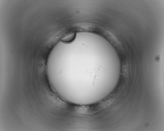 X0000090420318200707272116