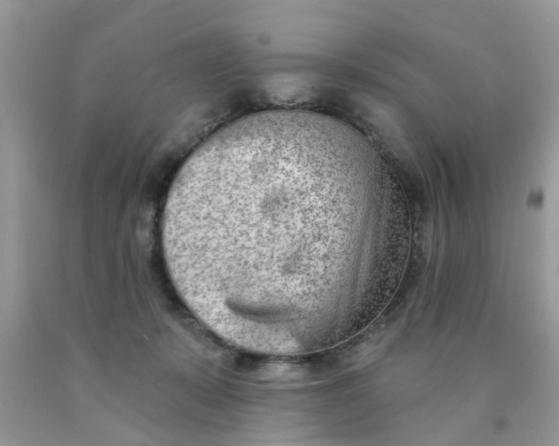 X0000090420319200707272116