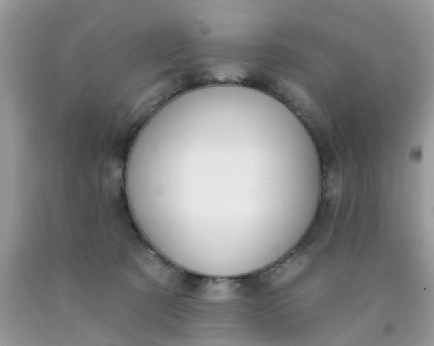 X0000090420321200707272116