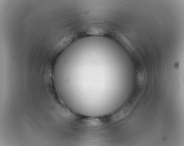 X0000090420322200707272116