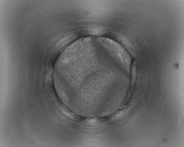 X0000090420325200707272116