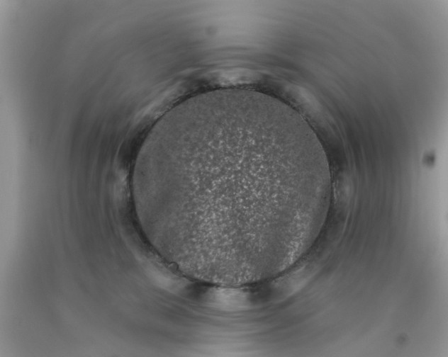 X0000090420327200707272116