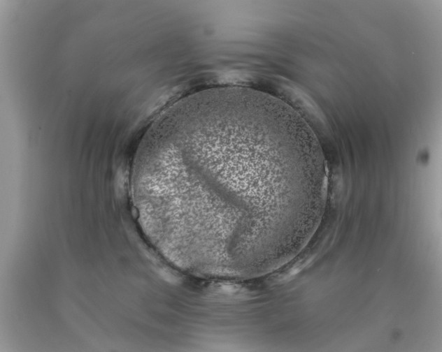 X0000090420329200707272116