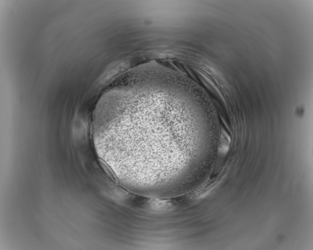 X0000090420333200707272116