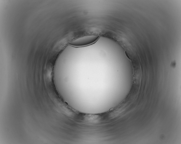 X0000090420334200707272116