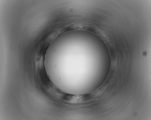 X0000090420335200707272116