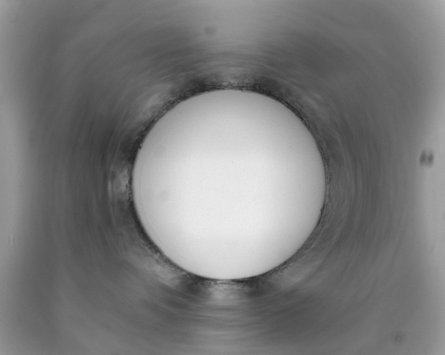 X0000090420336200707272116