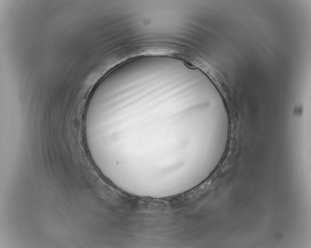 X0000090420337200707272115