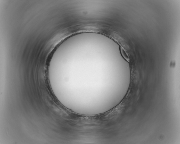 X0000090420338200707272115