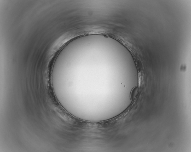 X0000090420339200707272115