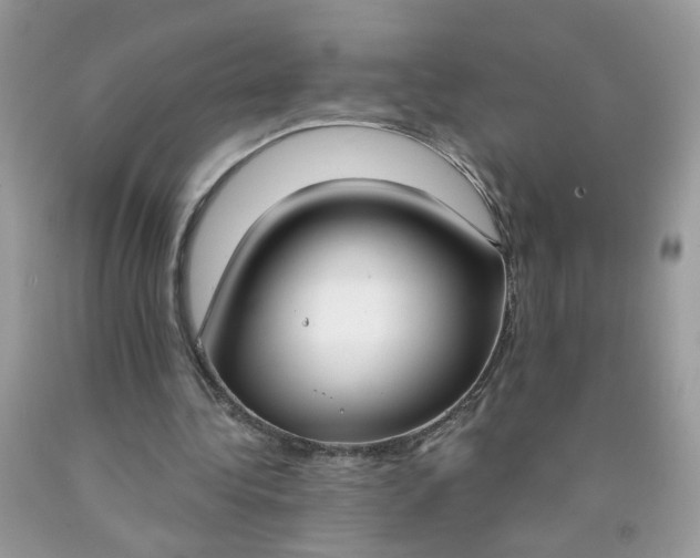 X0000090420340200707272115