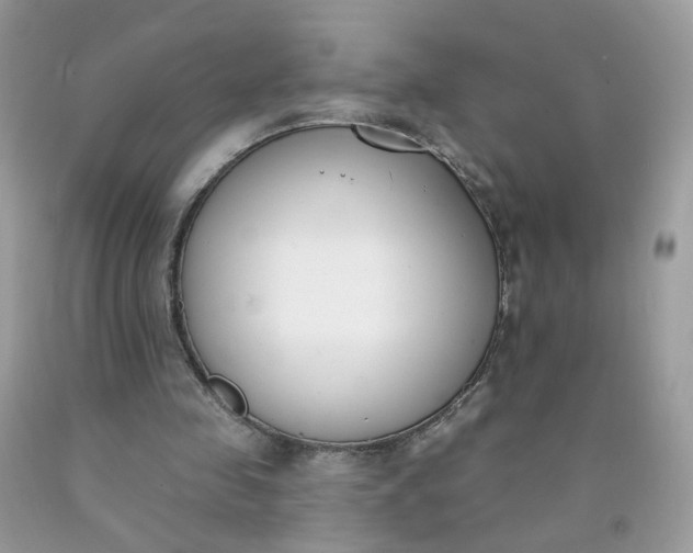 X0000090420341200707272115