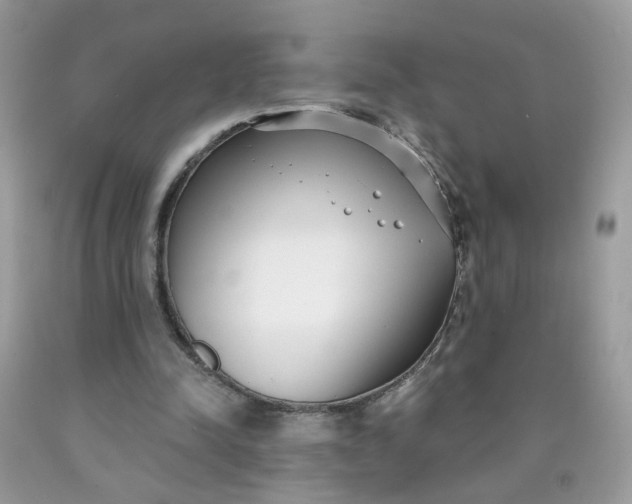 X0000090420342200707272115