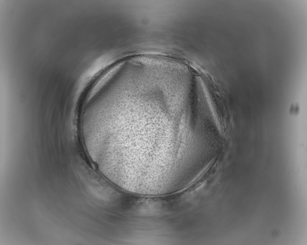 X0000090420343200707272115