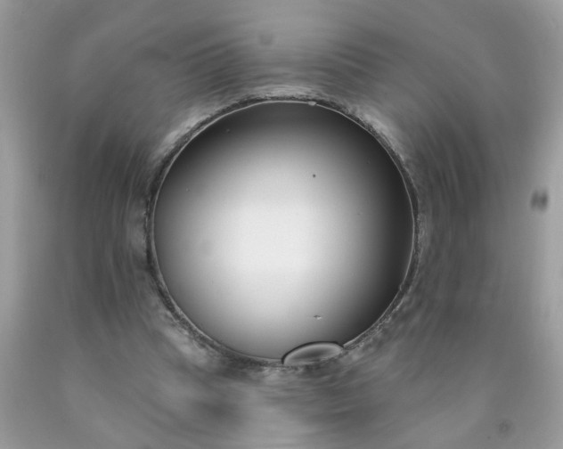 X0000090420345200707272115