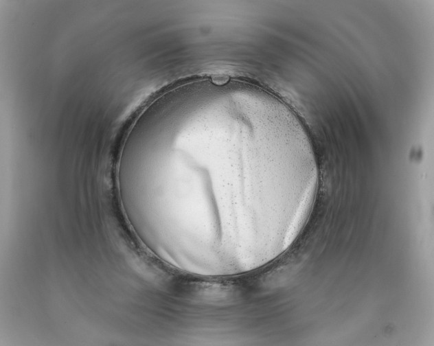 X0000090420347200707272115