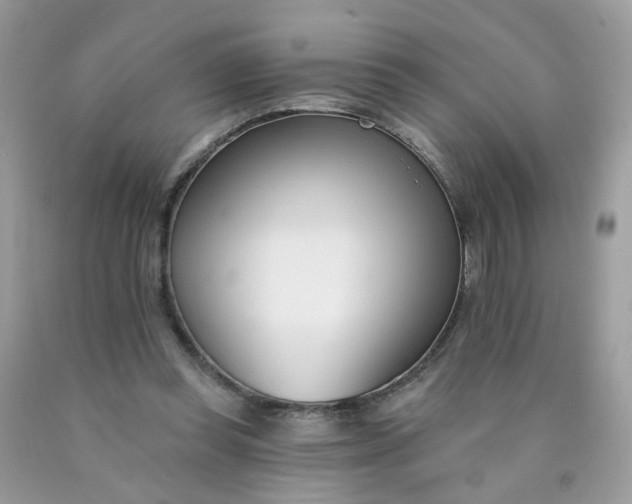 X0000090420349200707272115