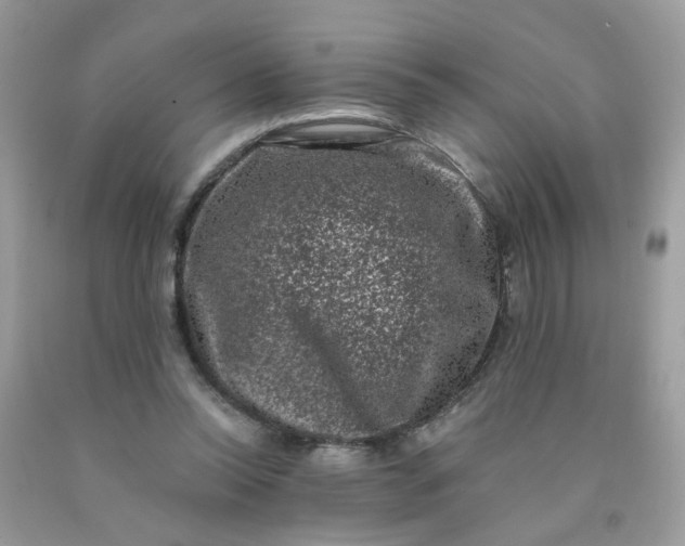 X0000090420350200707272115