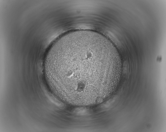 X0000090420351200707272115