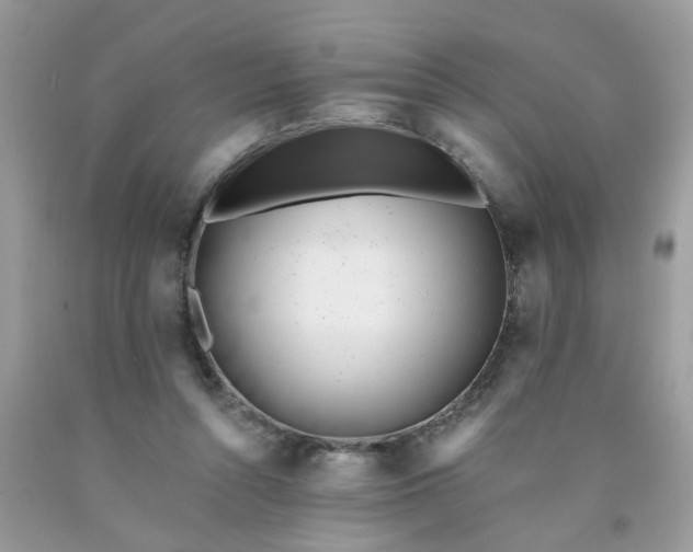 X0000090420352200707272115