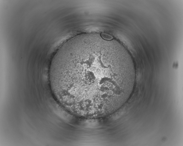 X0000090420353200707272115