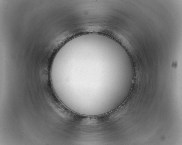 X0000090420354200707272115