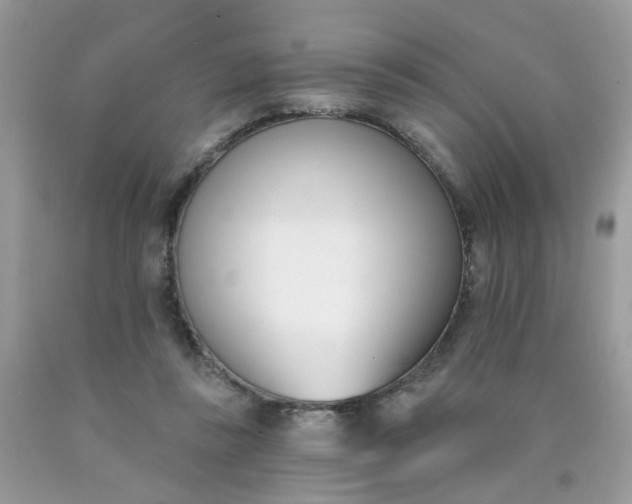 X0000090420355200707272115