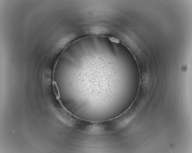 X0000090420356200707272115