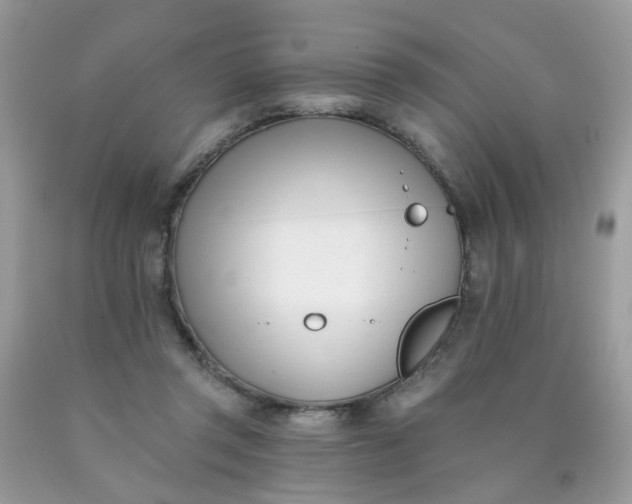 X0000090420357200707272115