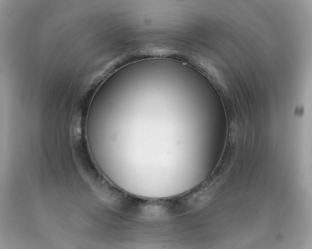 X0000090420358200707272115