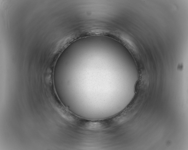 X0000090420361200707272115