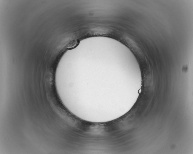 X0000090420362200707272115