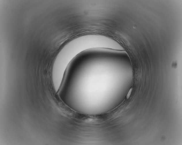 X0000090420364200707272115