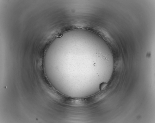 X0000090420365200707272115