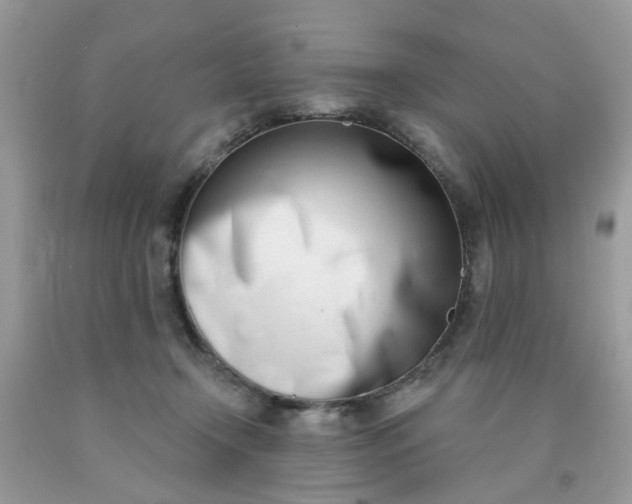 X0000090420366200707272115