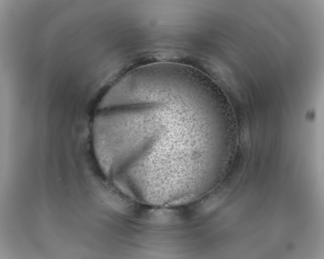 X0000090420367200707272115