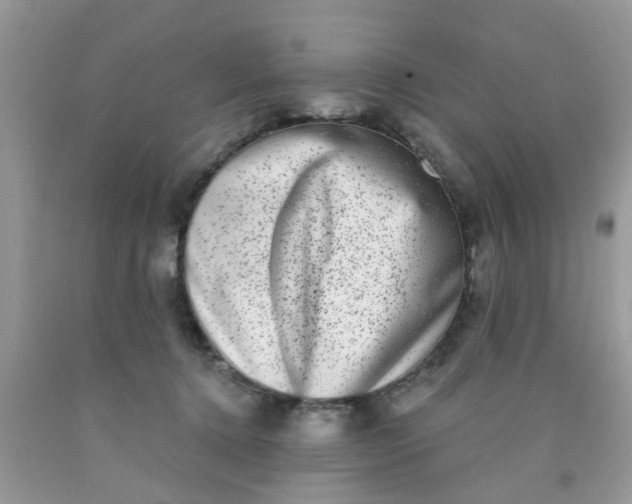 X0000090420368200707272115