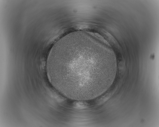 X0000090420372200707272115