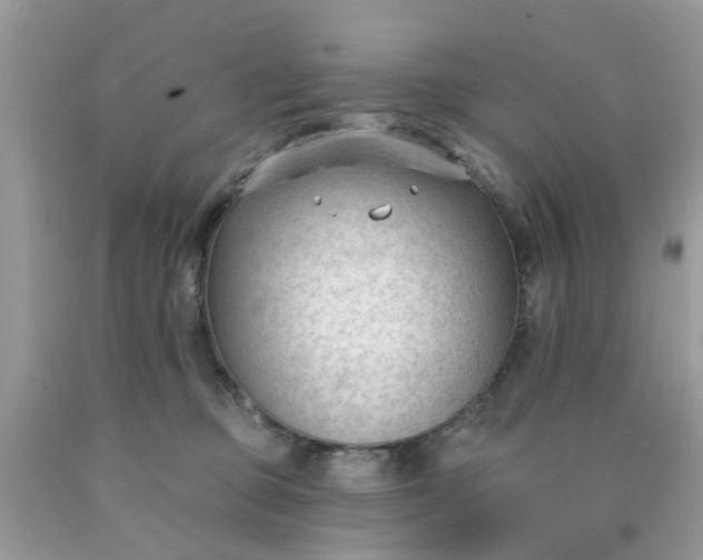 X0000090420373200707272115