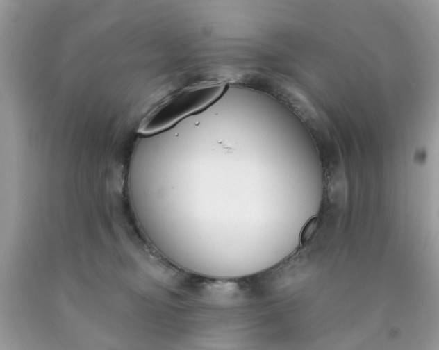 X0000090420374200707272115