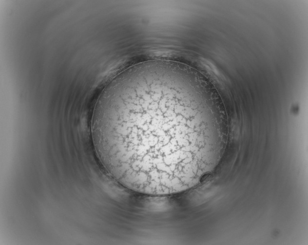 X0000090420377200707272115