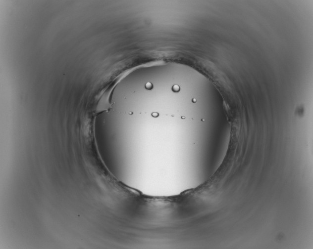 X0000090420380200707272116