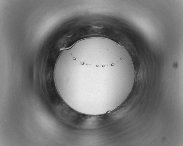 X0000090420382200707272116