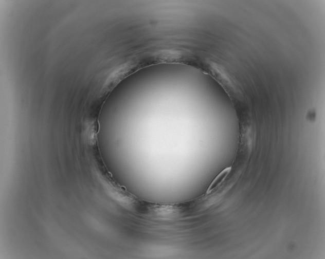 X0000090420383200707272116