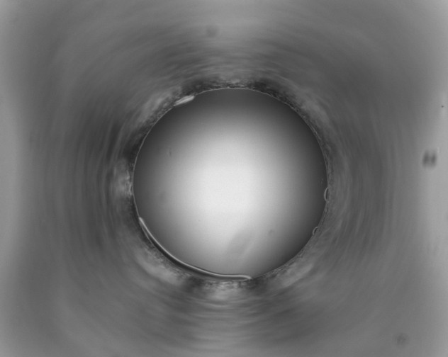 X0000090420384200707272116